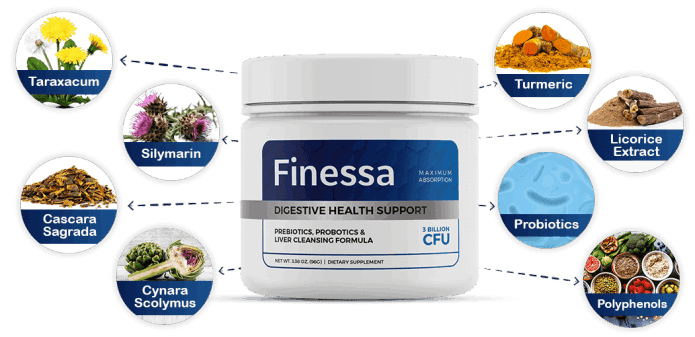 Finessa best weight loss supplement